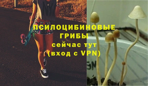 гидропоника Протвино
