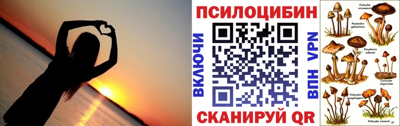 Псилоцибиновые грибы мухоморы  наркотики  Дубна 