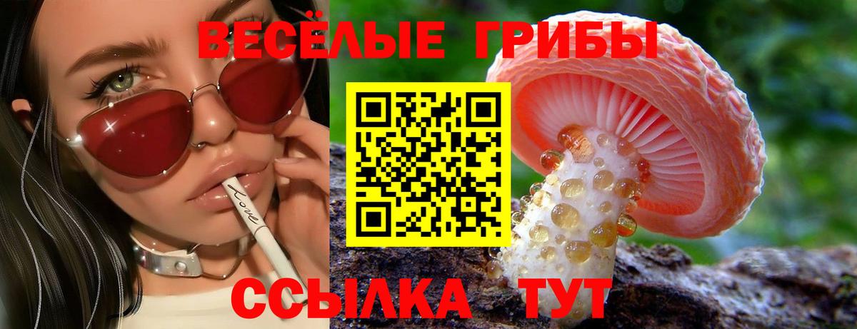 Дубна  Галлюциногенные грибы мухоморы  Вход с VPN 