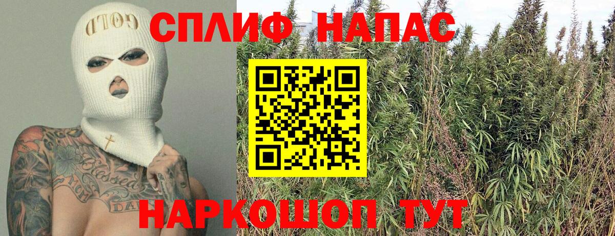 APVP Дубна